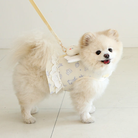 ITSDOG | Petit Mignon Angel Leash