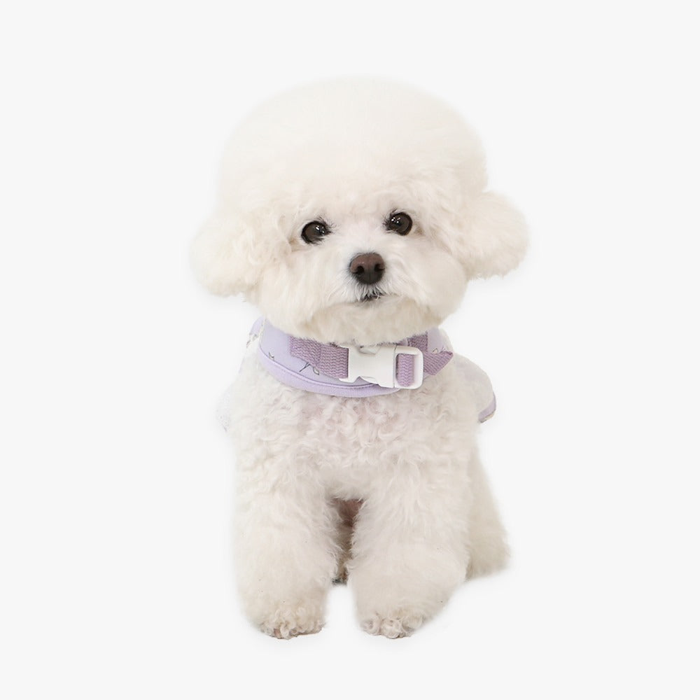 ITSDOG | Petit Mignon Angel Harness