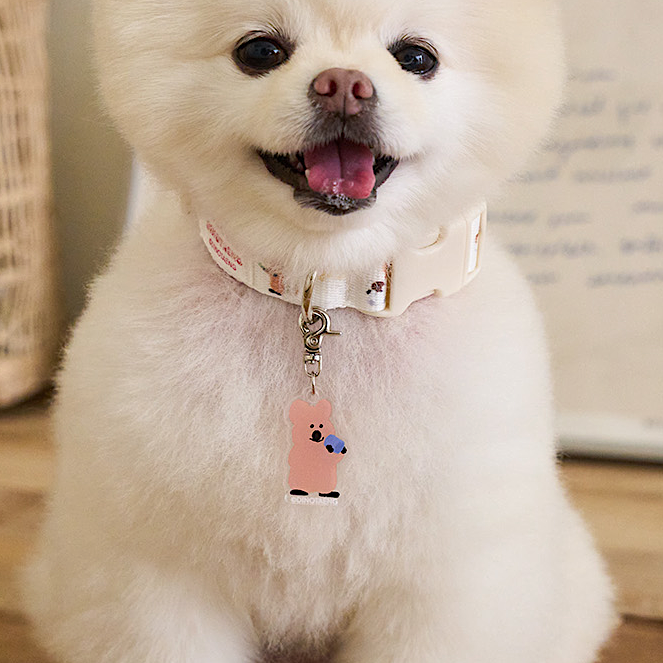 DINOTAENG Quokka Collar