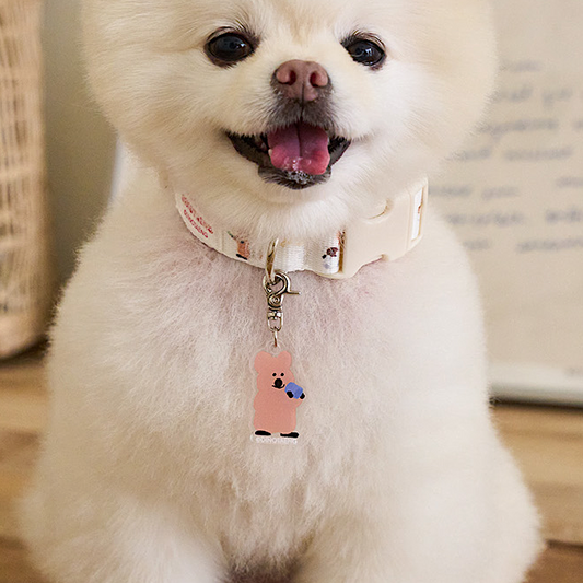 DINOTAENG Quokka Collar