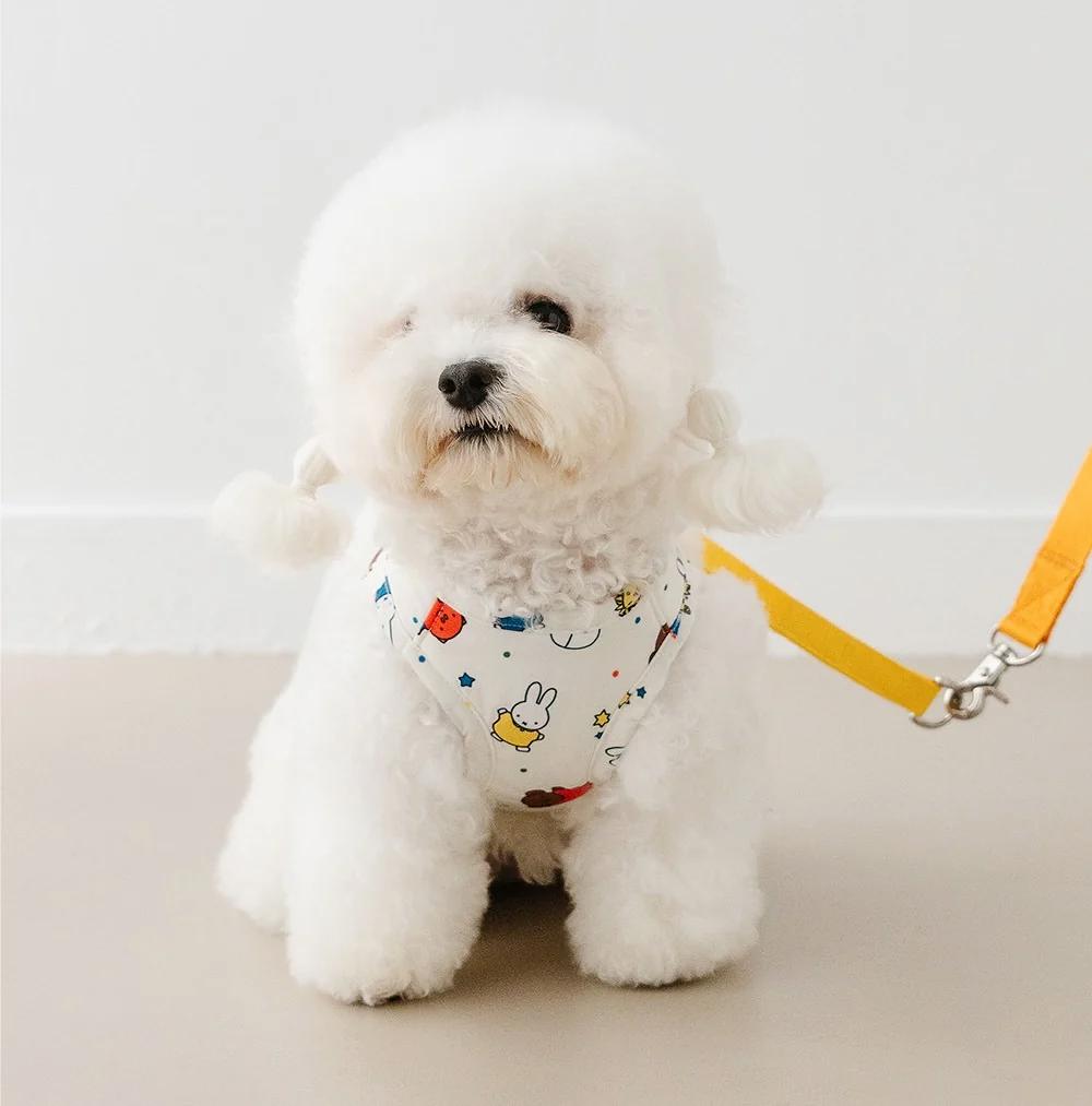 NOUTTI | Festival Miffy Harness