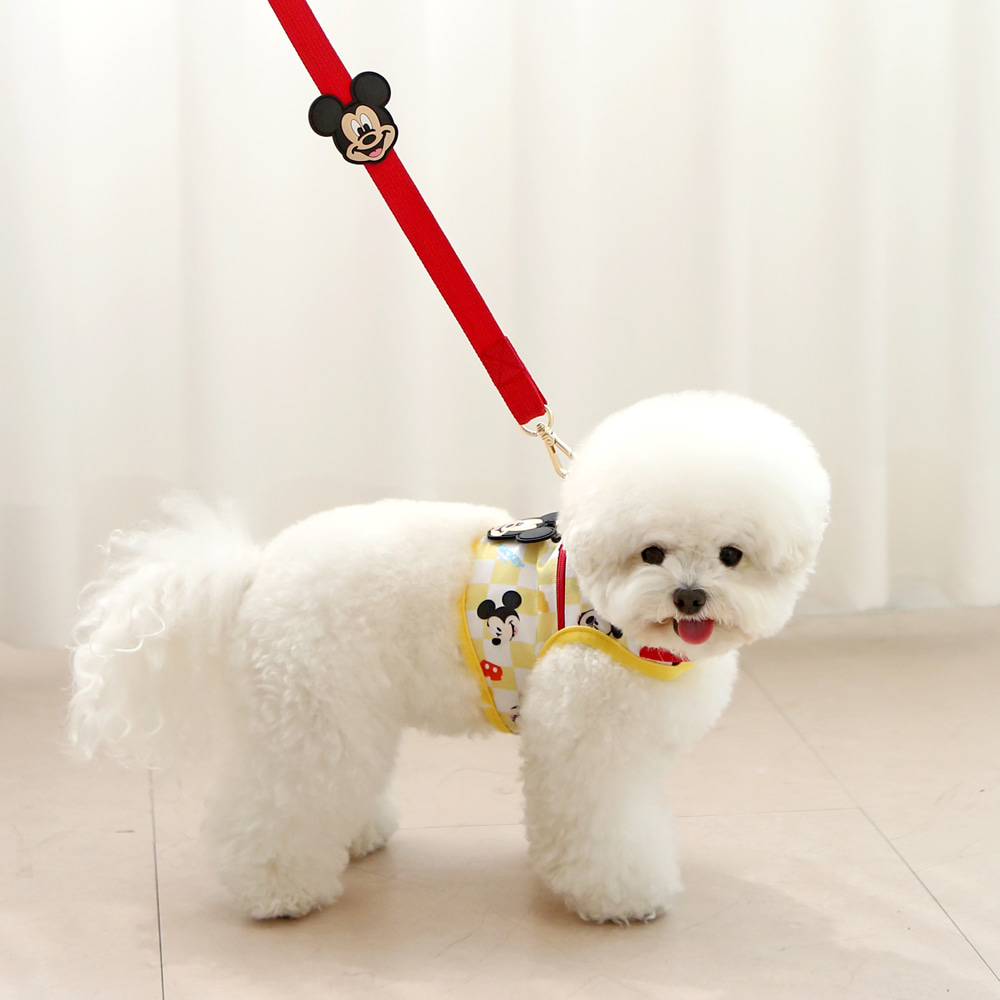 Donald Duck / Mickey Mouse Cooling Harness