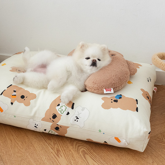 DINOTAENG Quokka Pillow