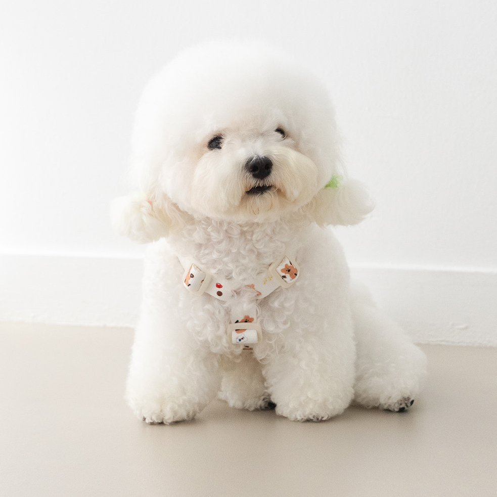 DINOTAENG Quokka Harness