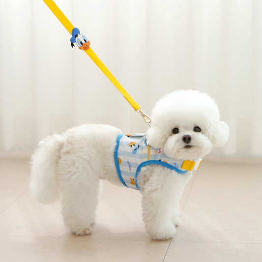Donald Duck / Mickey Mouse Leash