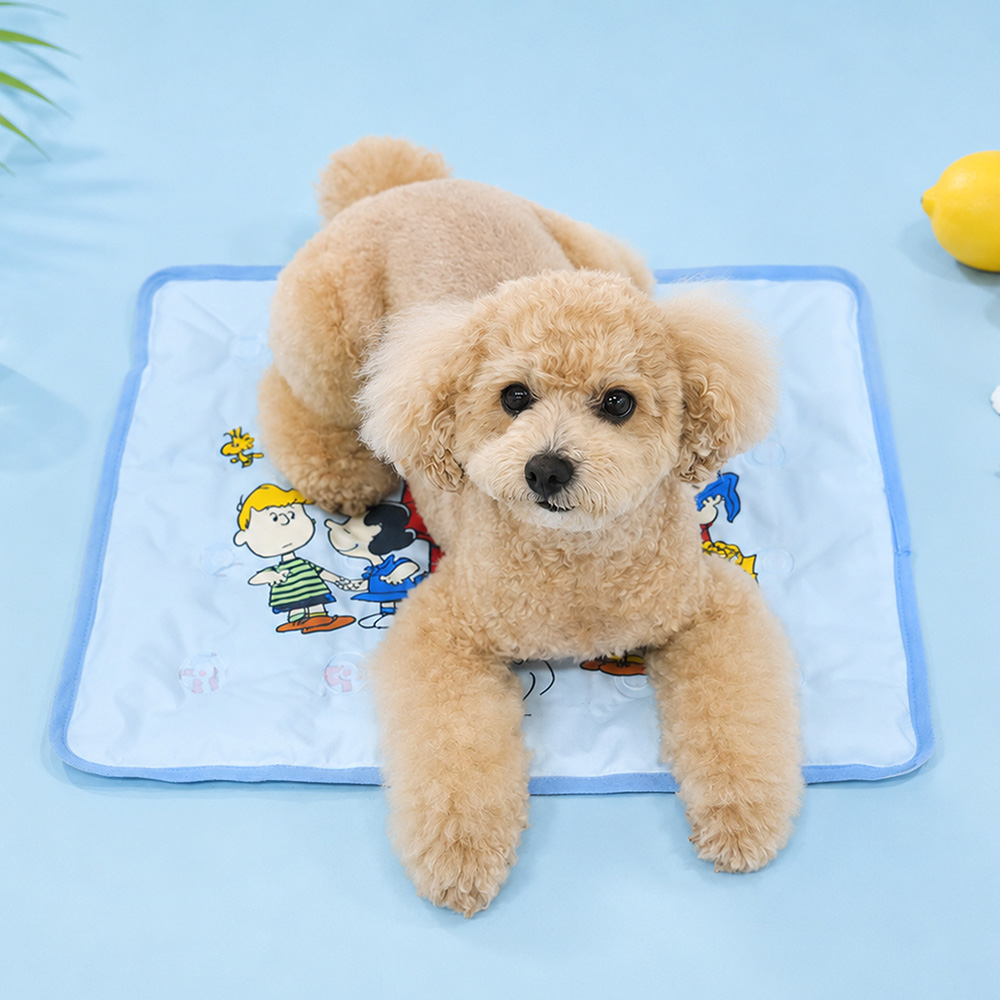 Snoopy Cooling Gel Mat | Double-Sided Pattern (2 colors)