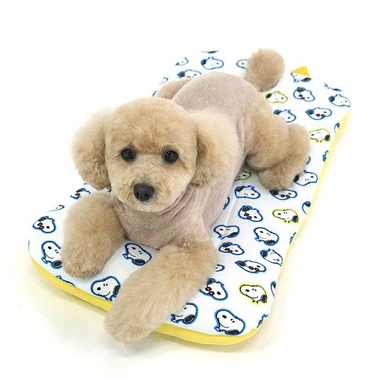 Snoopy Multi Cooling Cushion (Ice Pack included!)
