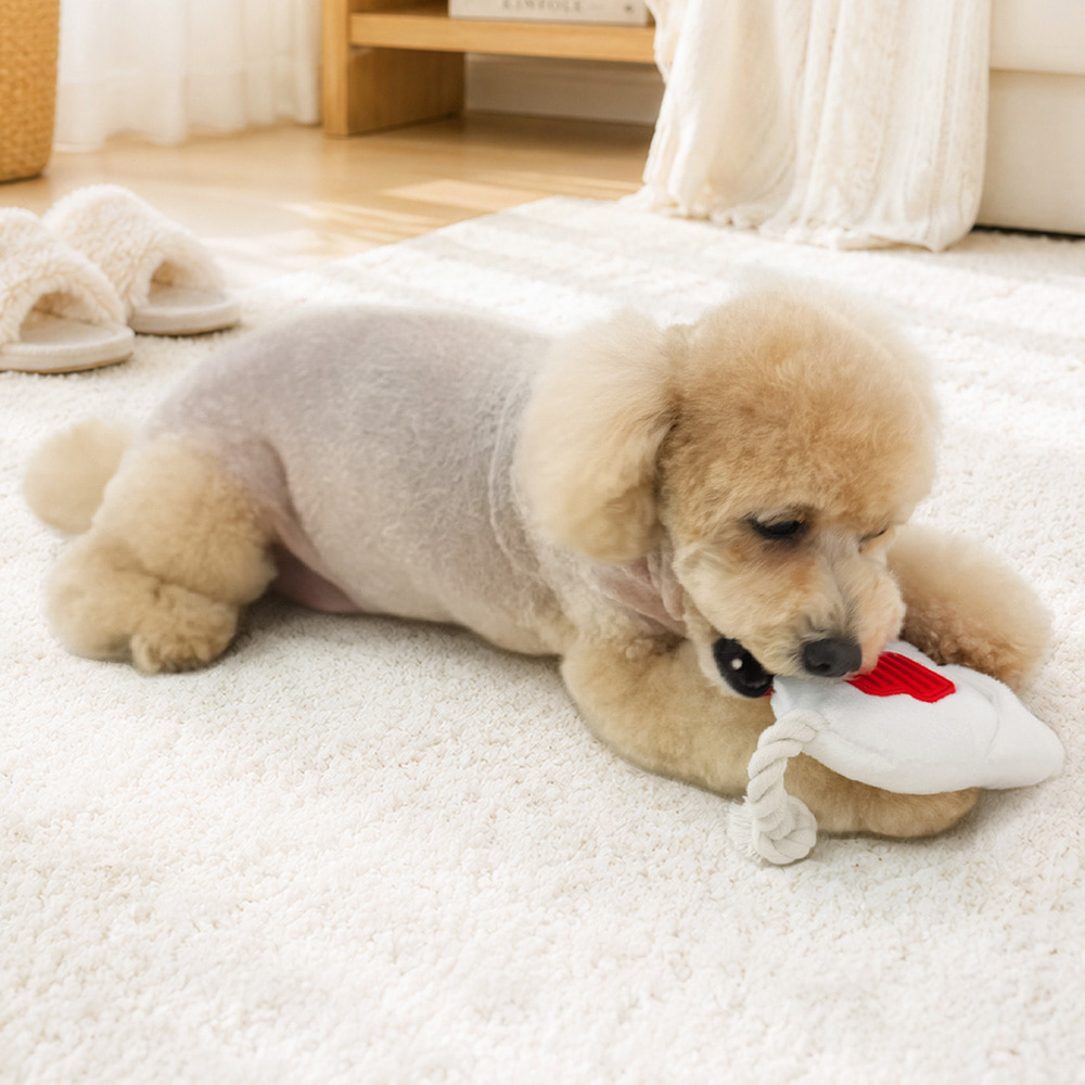 Snoopy Slipper Toy