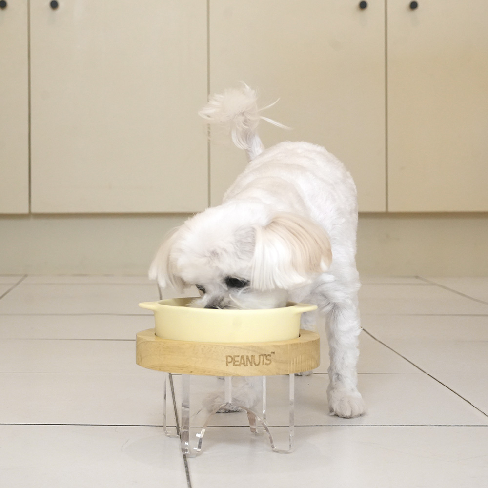 Snoopy Chef Pet Bowl Set | Elevated Design