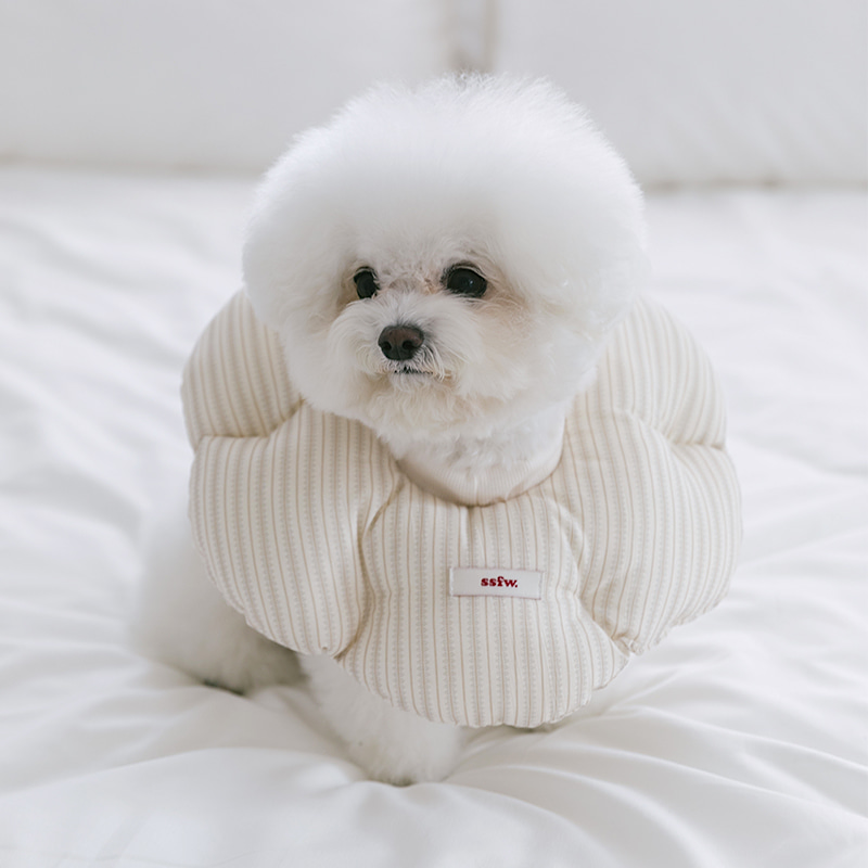 Cloud Dog Cone