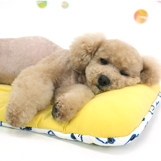 Snoopy Multi Cooling Cushion (Ice Pack included!)