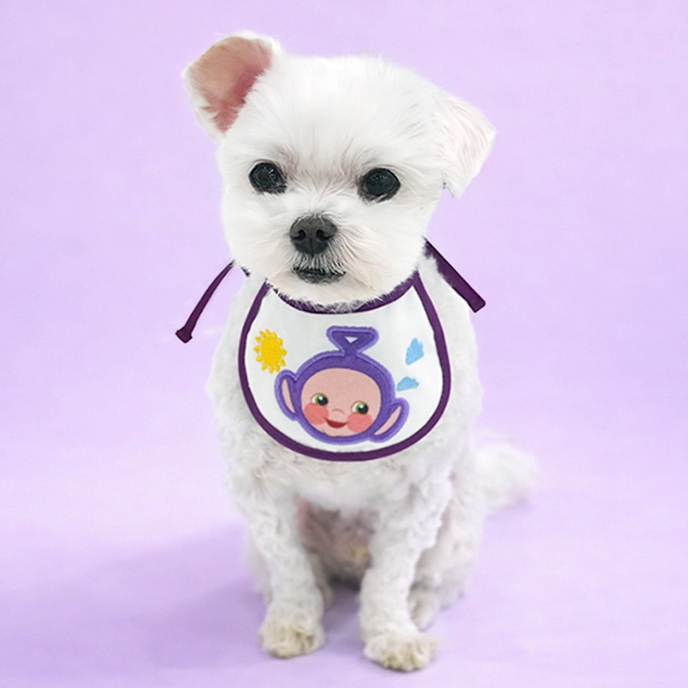 Teletubbies Bib