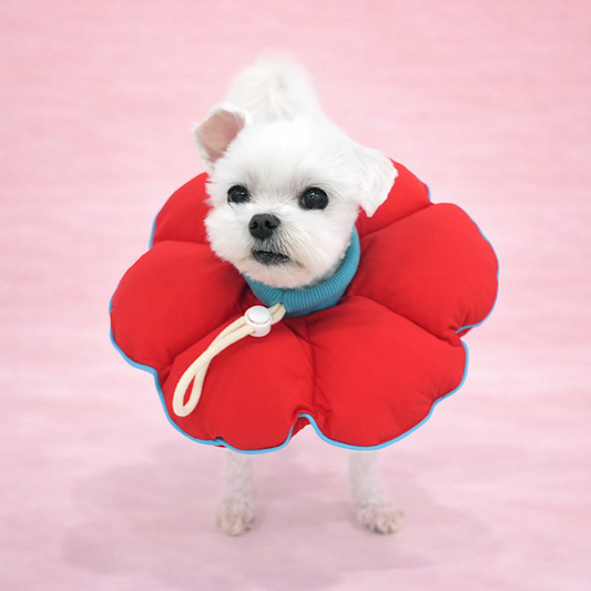 Teletubbies Dog Cone | Cushion Flower Style