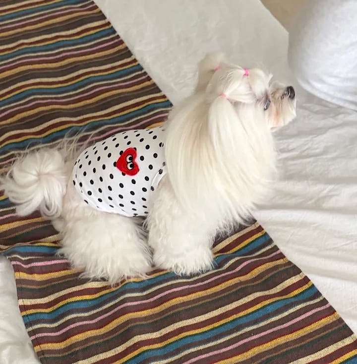 Heart Dotted Vest 心心波點背心