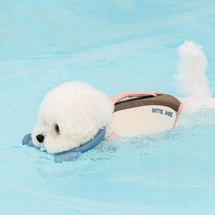 BITE ME | Aqua Bear Life Jacket | Removable Chin Float