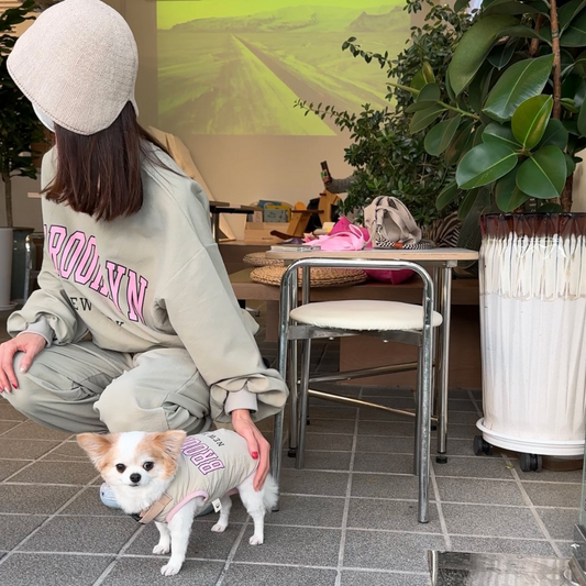 <Couple Style> Brooklyn Training Set | For Pawrents (3 colors)