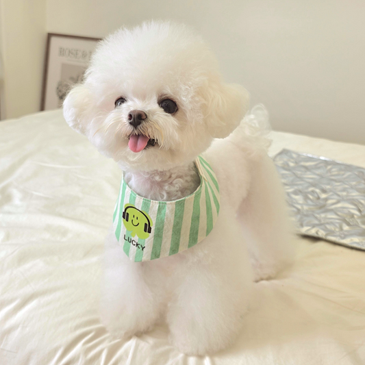 Green Stripe Cape | Custom Name