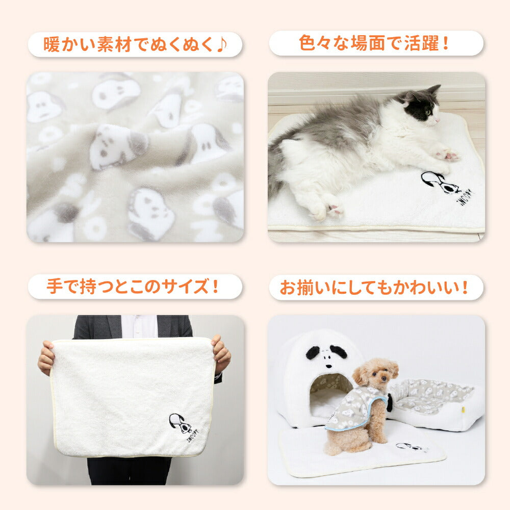 Snoopy Blanket