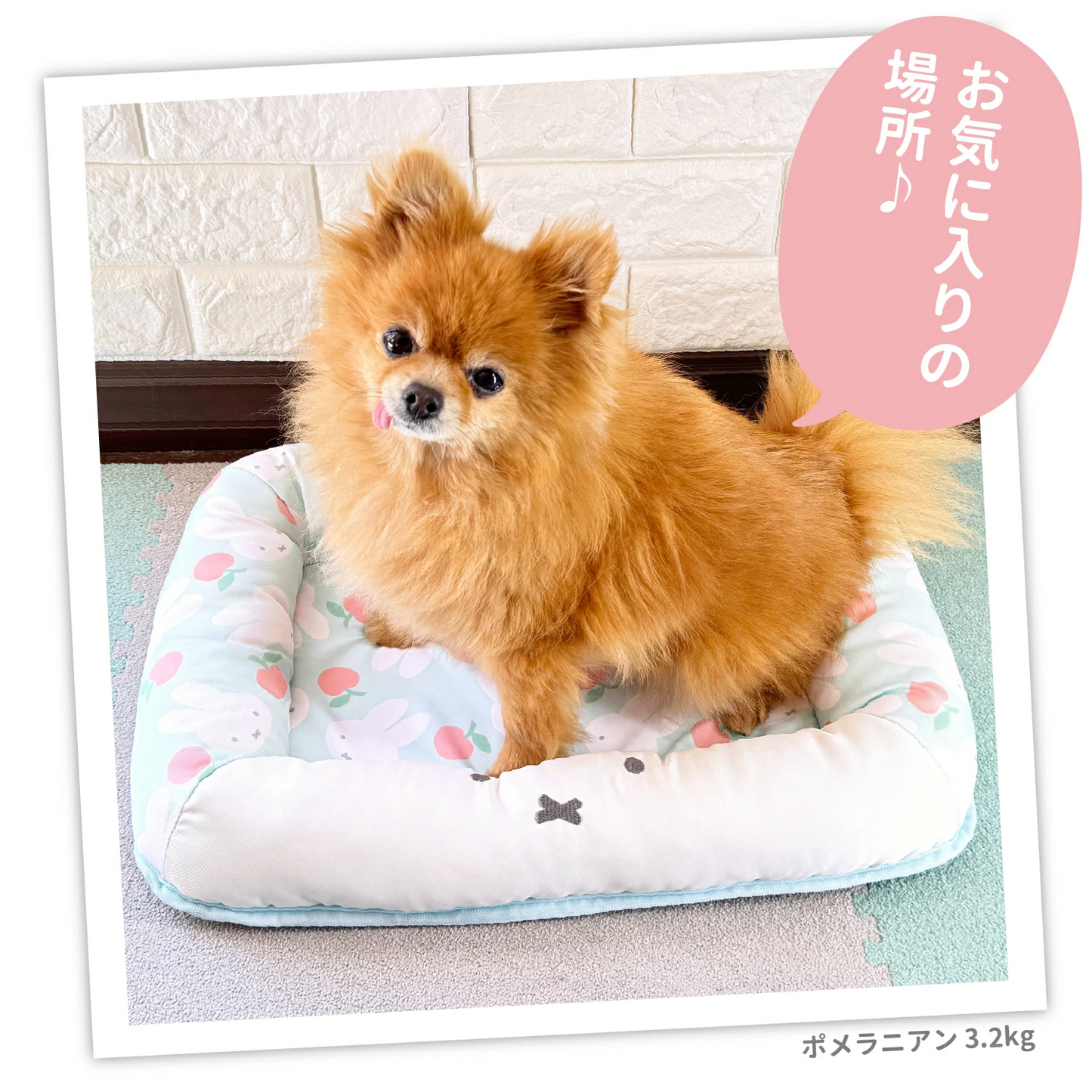 Miffy Apple Cooling Mat