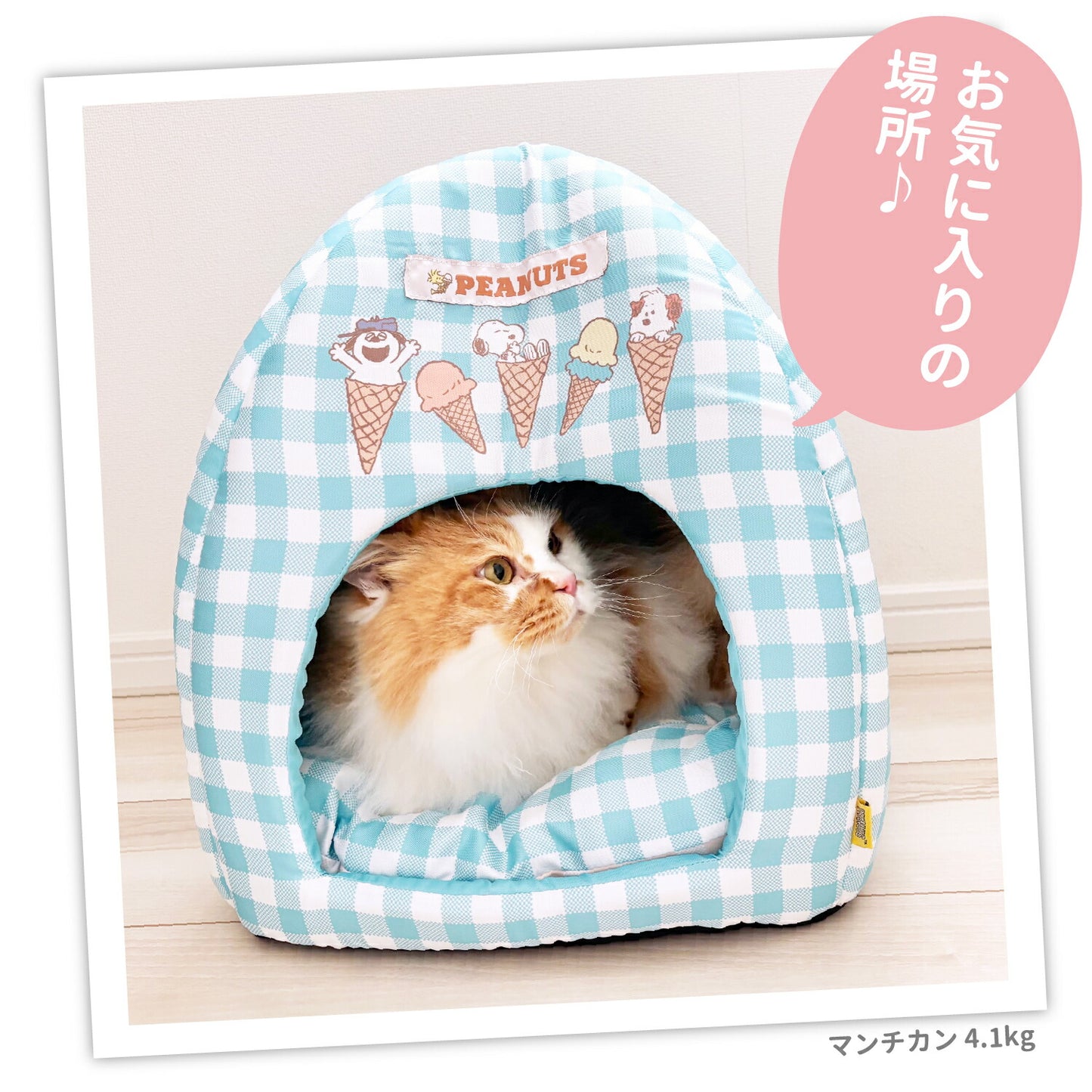 Snoopy雪糕涼感屋