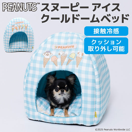 Snoopy Ice Cream Cooling House