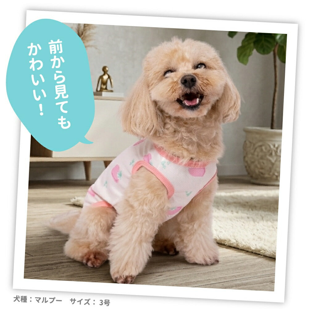 Fruits Cooling Vest