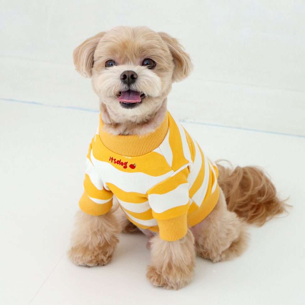 Yummy Apple Sweatshirt