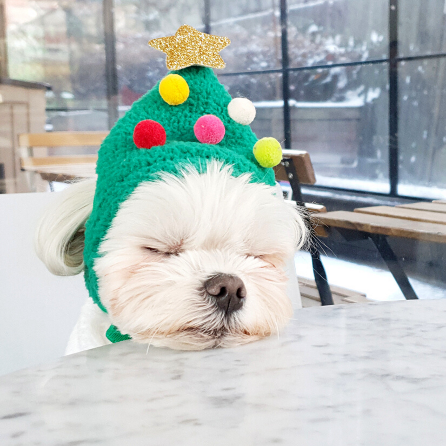 Christmas Tree Hat