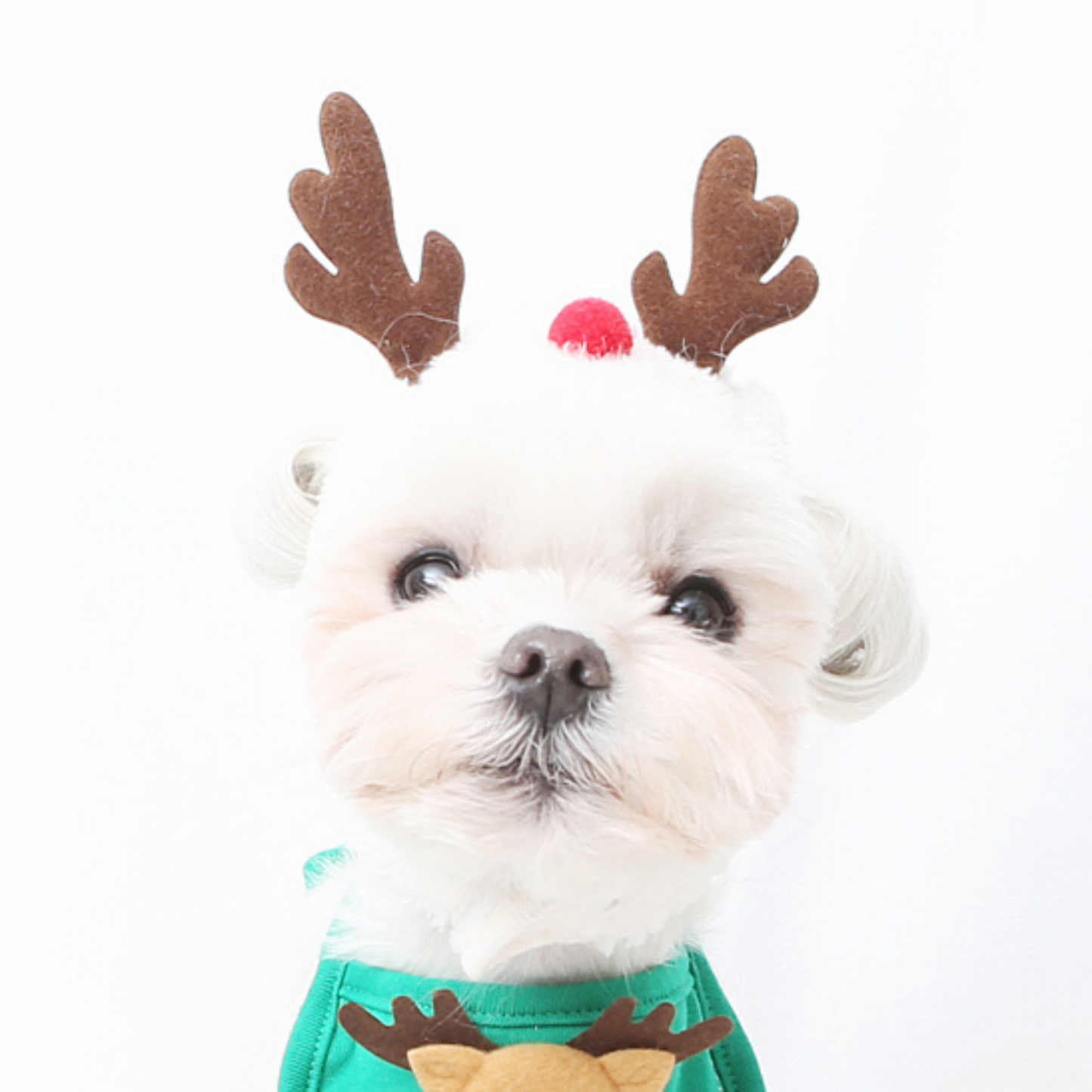 Christmas Rudolph Hat