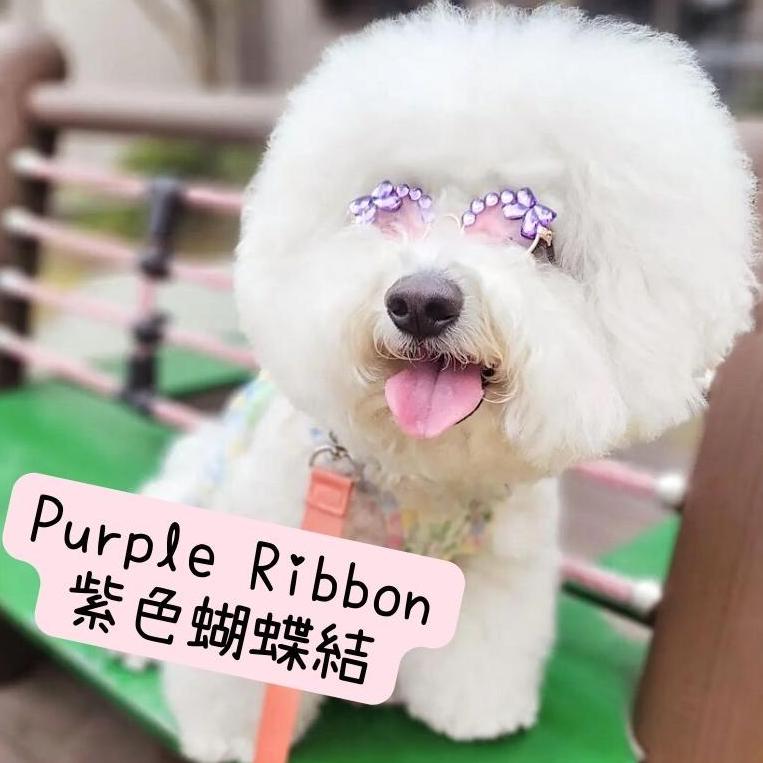 韓國手工製太陽眼鏡(14個款式!)