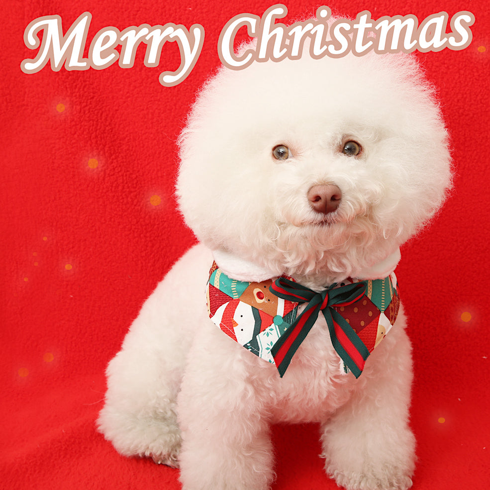 My Santa Cape