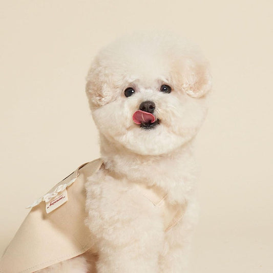 Bear Suspender Dress