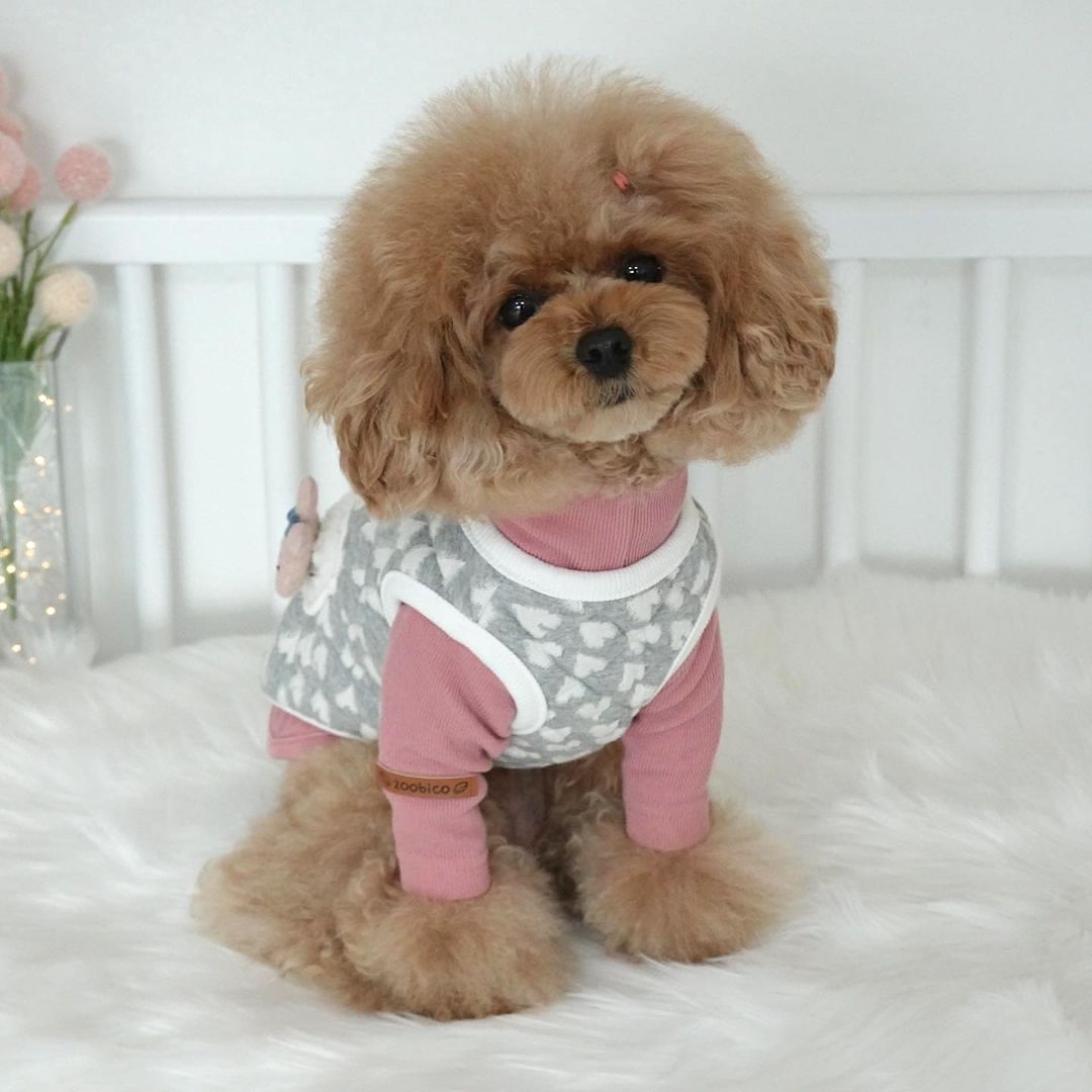 Rabbit Vest Jacket