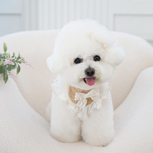 French Lace Ribbon Bib