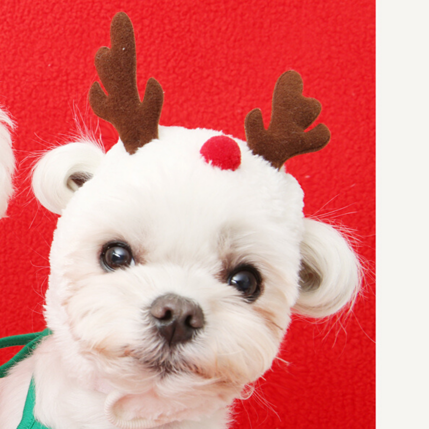 Christmas Rudolph Hat