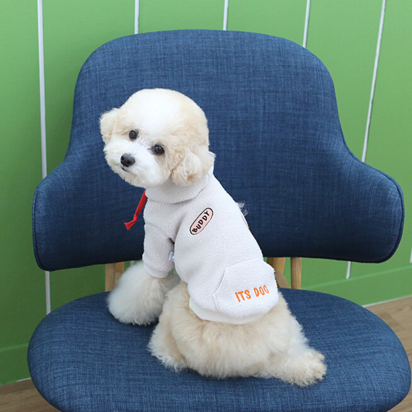 Buddy Hoodie