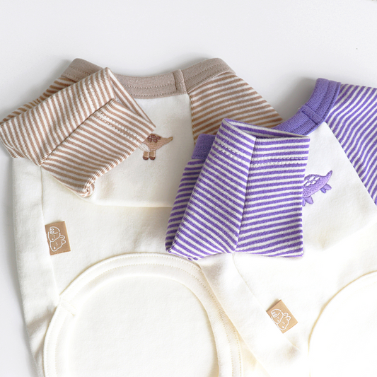 Dinosaur Striped Sleeve Tee
