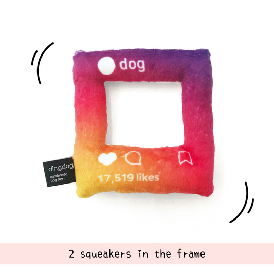 Dogstagram Toy