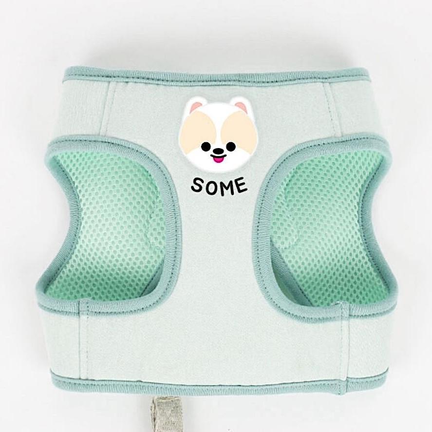 Basic Custom Harness