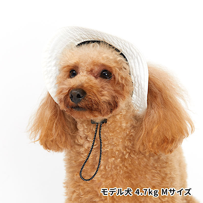 LIFELIKE戶口運動漁夫帽 (2023版!)