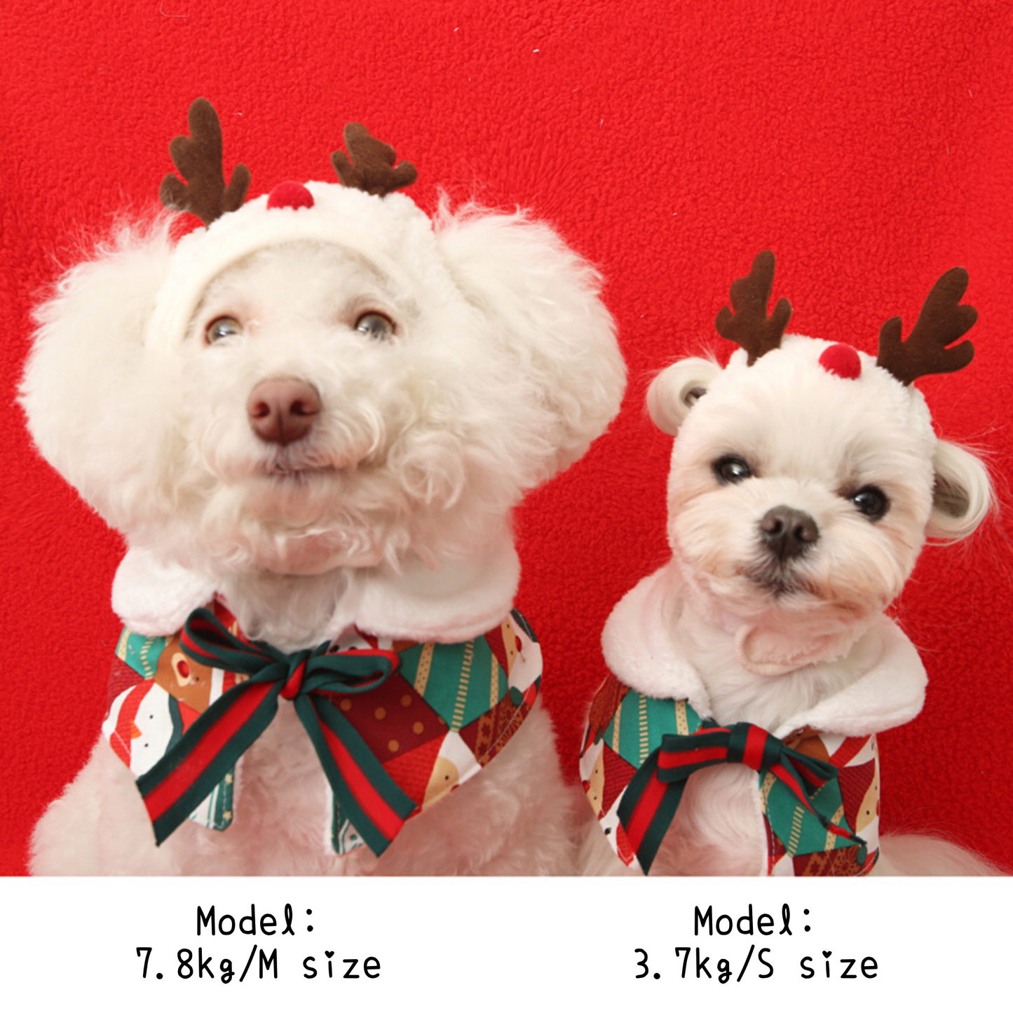 Christmas Rudolph Hat