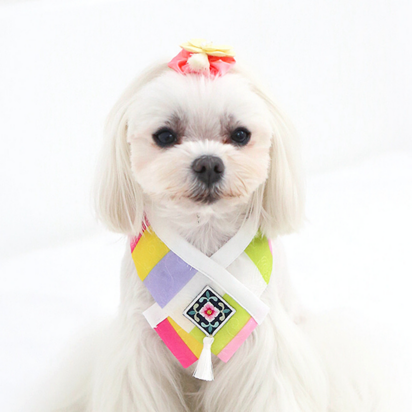 Check Hanbok Cape