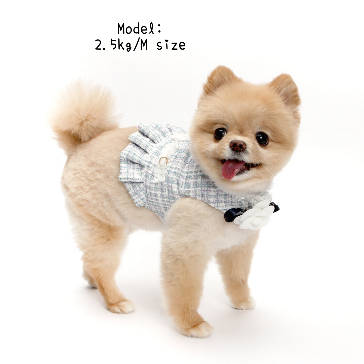 Camellia Tweed Harness