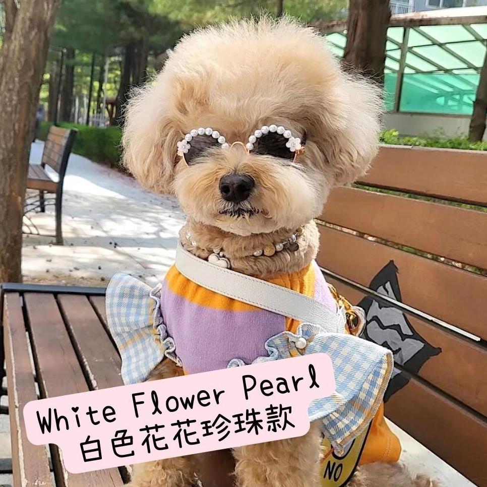 韓國手工製太陽眼鏡(14個款式!)
