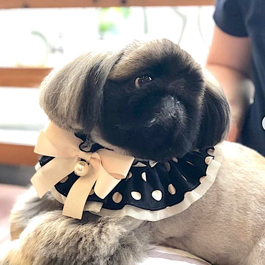 Polka Dot Cape (Black)