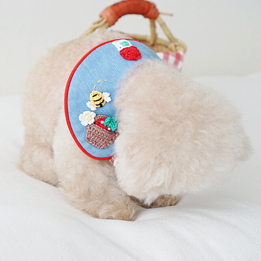 Little Red Riding Hood Cape