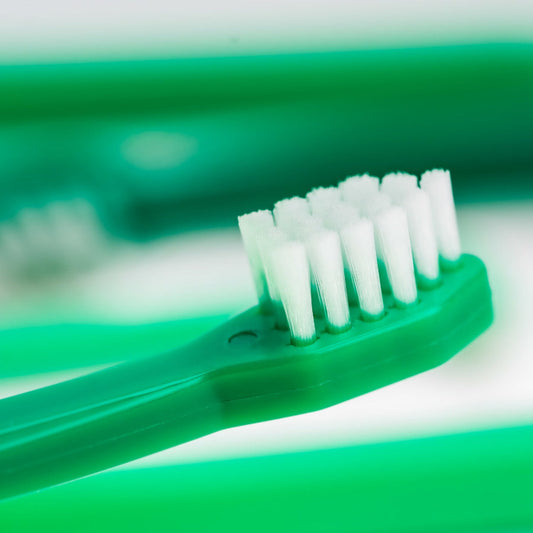 Plago Toothbrush (Basic / Canine)