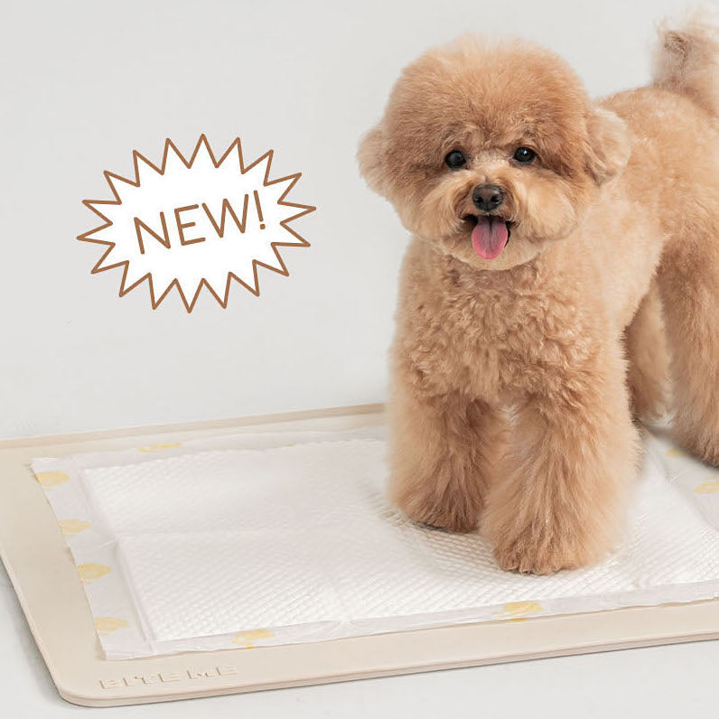 Non-Slip Silicone Toilet Mat
