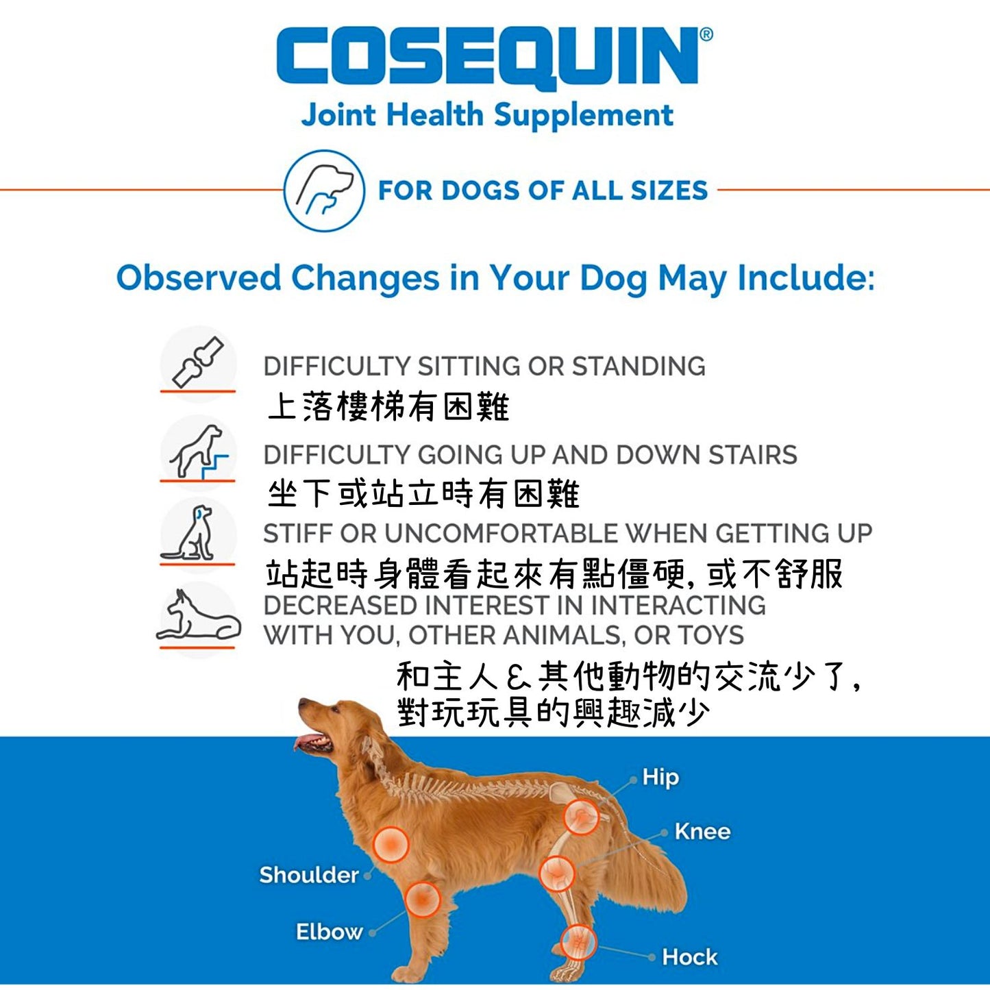 Cosequin Maximum Strength Plus MSM Chewable Tablets