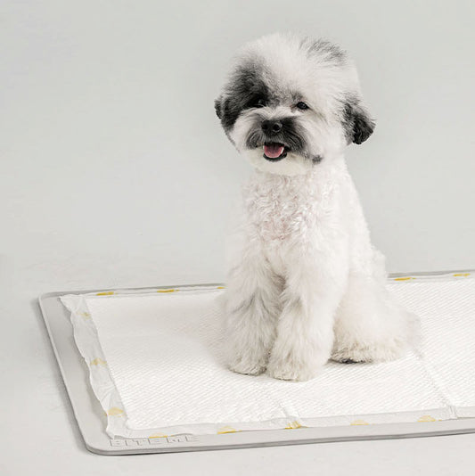 Non-Slip Silicone Toilet Mat